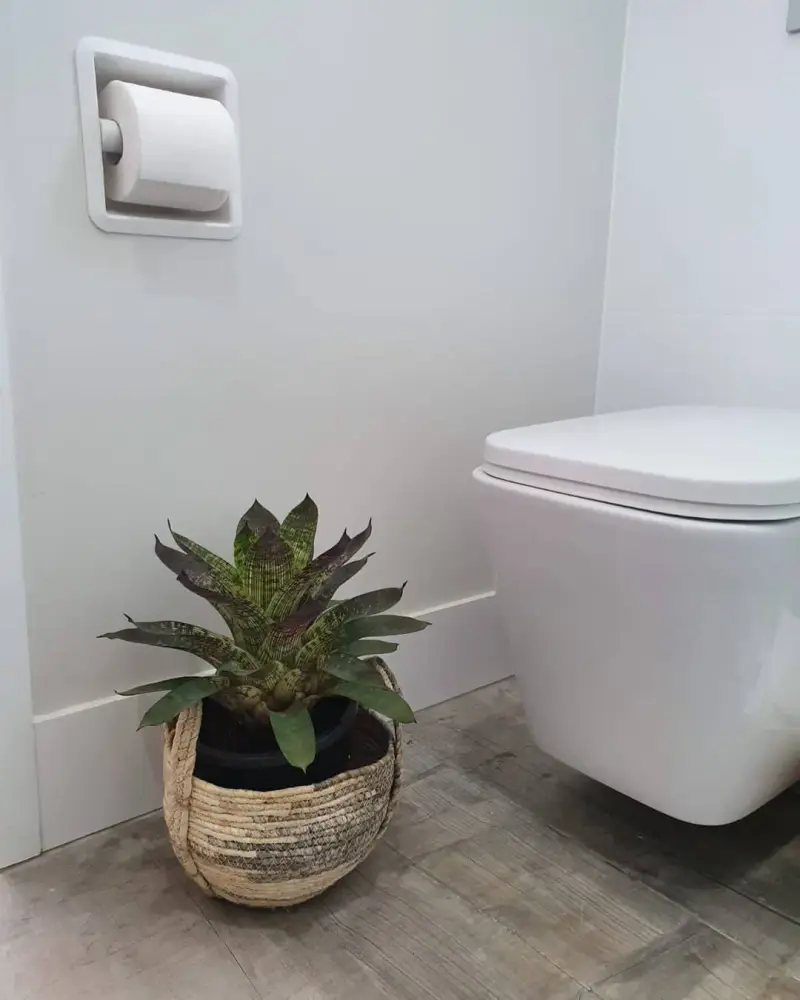 SmartRoll White installed in modern bathroom with plant